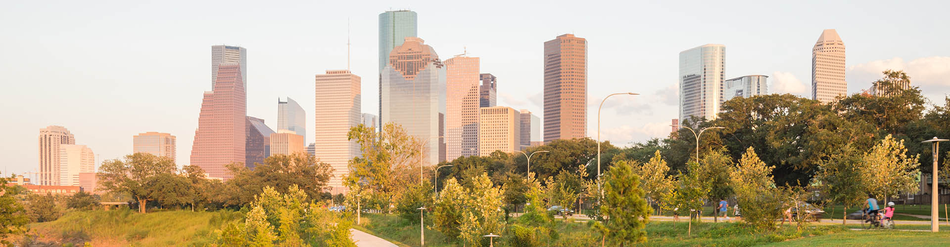 Houston Skyline